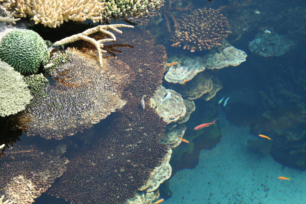 habitats costeiros e marinhos